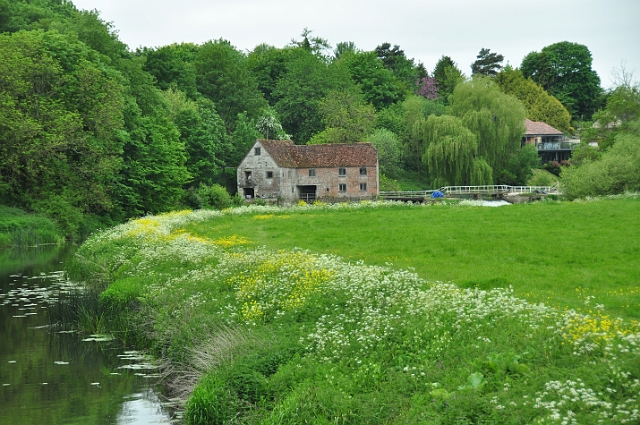 24 05 15_4282.JPG - STURMINSTER NEWTON, NORTH DORSET - 24.5.15